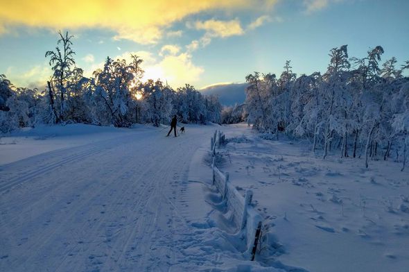 bruksvallarna