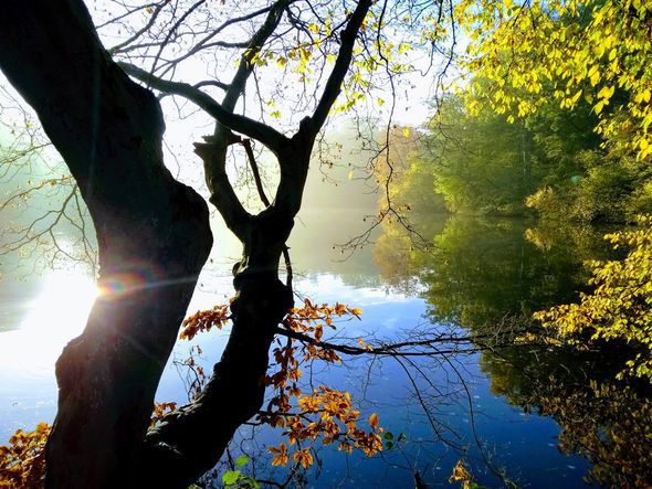 rouge-cloitre-fall