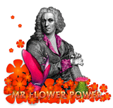Mr Flower
Power