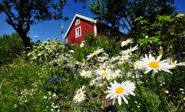 Sommar på Gryt