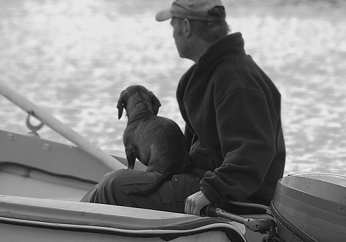 Mit Herrchen Boot
fahren