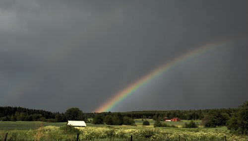 Regenbogen